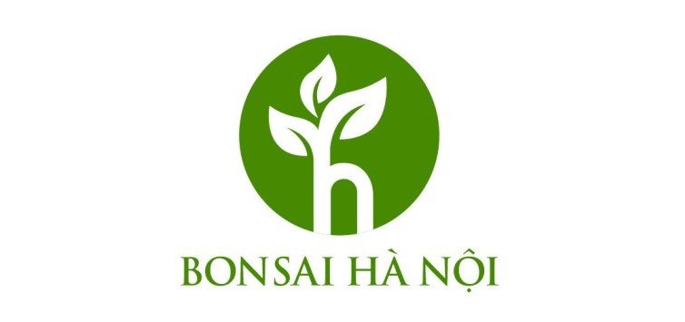 Bonsai Hà Nội